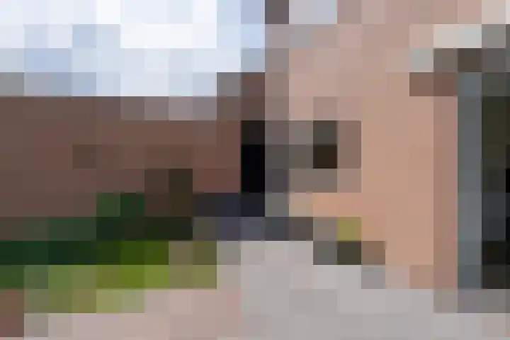 Boeylaan 14 Leerdam thumbnail 57