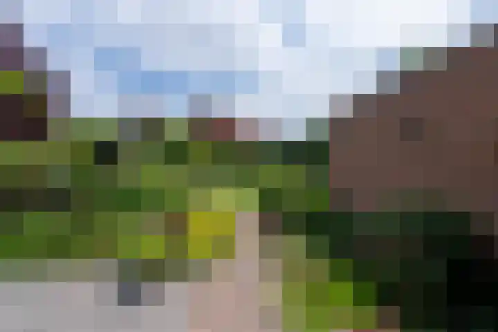 Boeylaan 14 Leerdam thumbnail 58