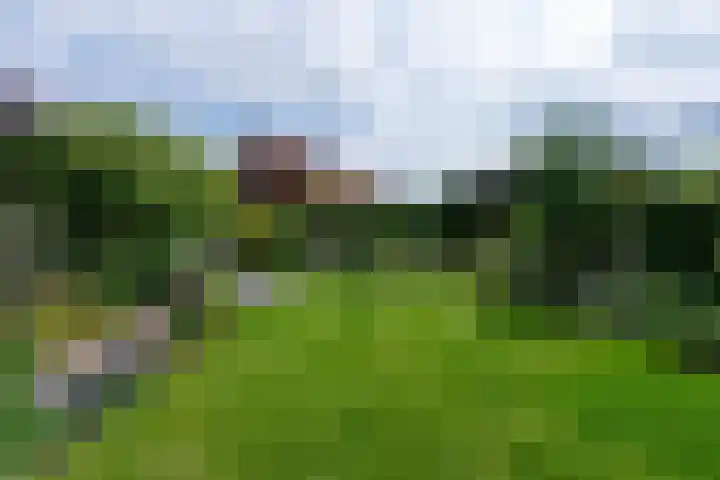 Boeylaan 14 Leerdam thumbnail 59