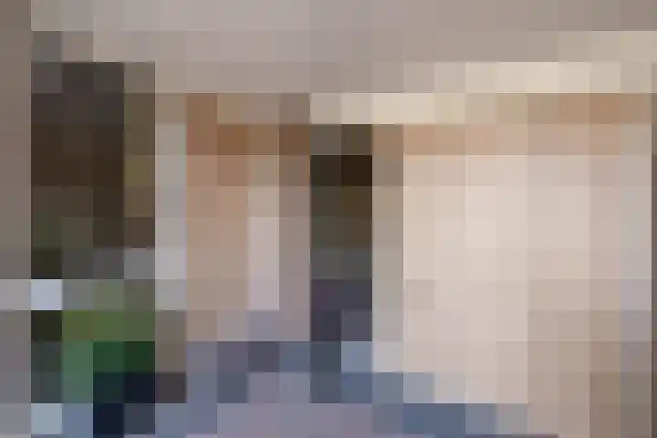 Boeylaan 14 Leerdam thumbnail 6