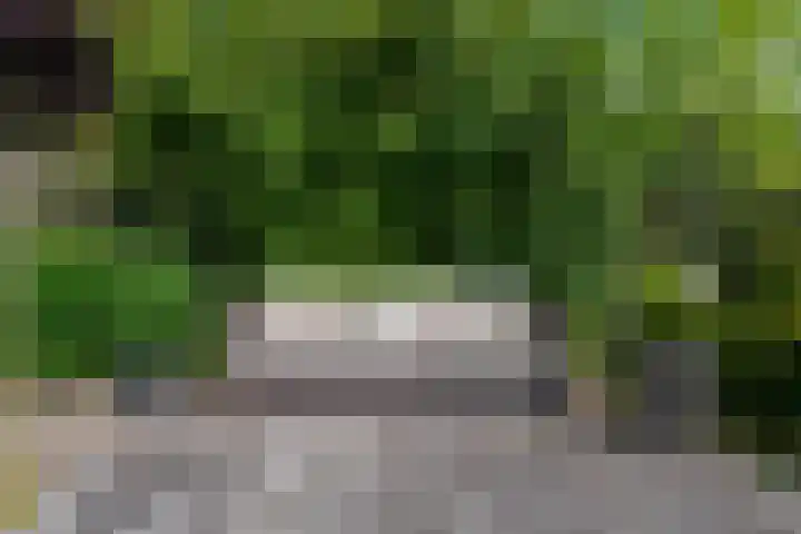 Boeylaan 14 Leerdam thumbnail 60
