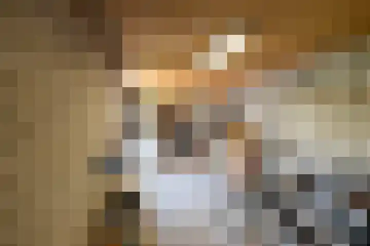 Boeylaan 14 Leerdam thumbnail 61