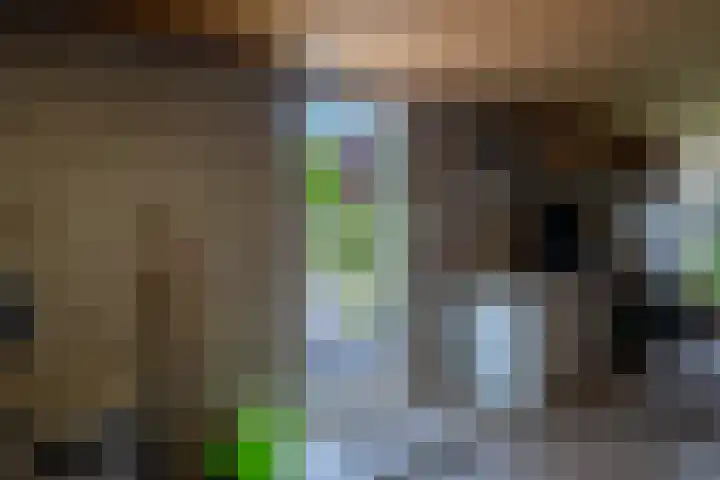Boeylaan 14 Leerdam thumbnail 63