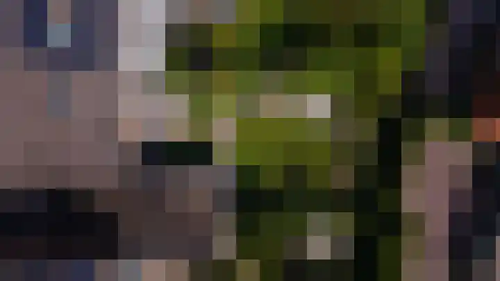 Boeylaan 14 Leerdam thumbnail 64