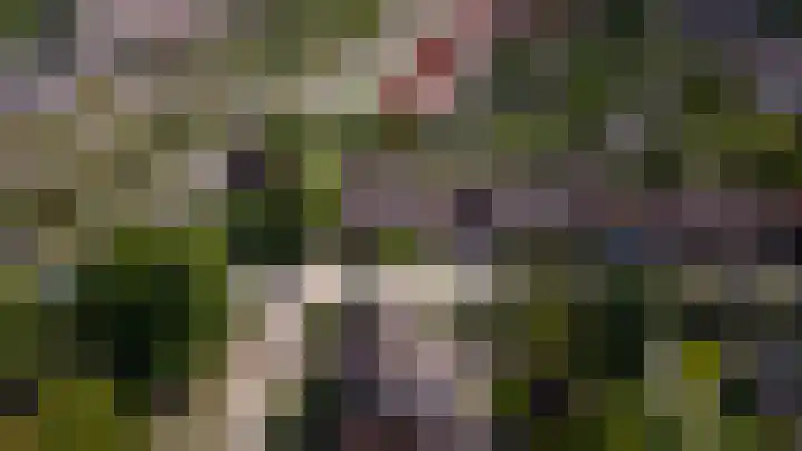 Boeylaan 14 Leerdam thumbnail 65