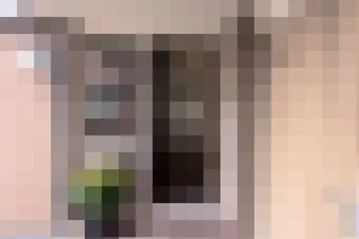 Boeylaan 14 Leerdam thumbnail 7