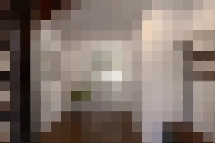 Boeylaan 14 Leerdam thumbnail 9