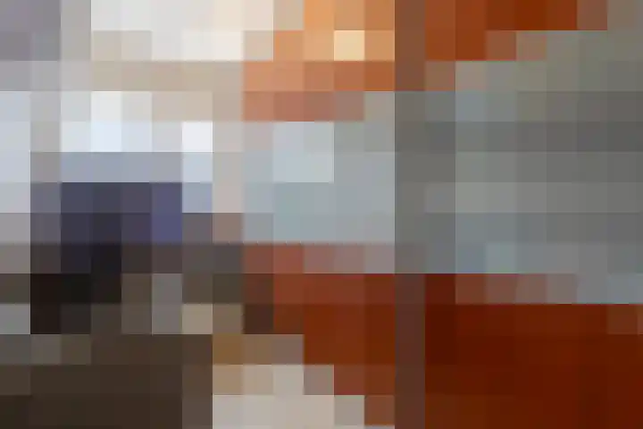 Boezem 3 Giessenburg thumbnail 17