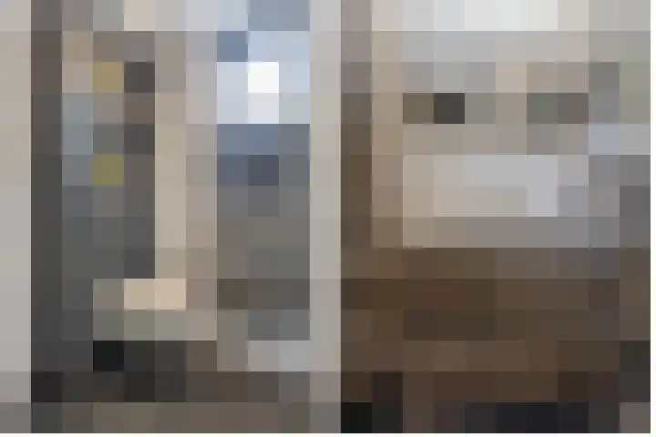 Boezem 3 Giessenburg thumbnail 20