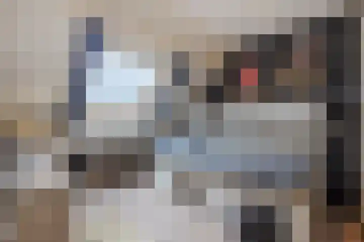 Boezem 3 Giessenburg thumbnail 23
