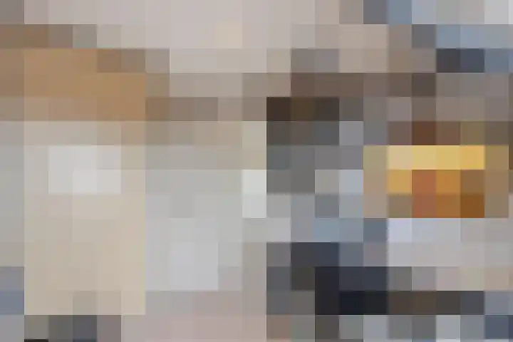 Boezem 3 Giessenburg thumbnail 24