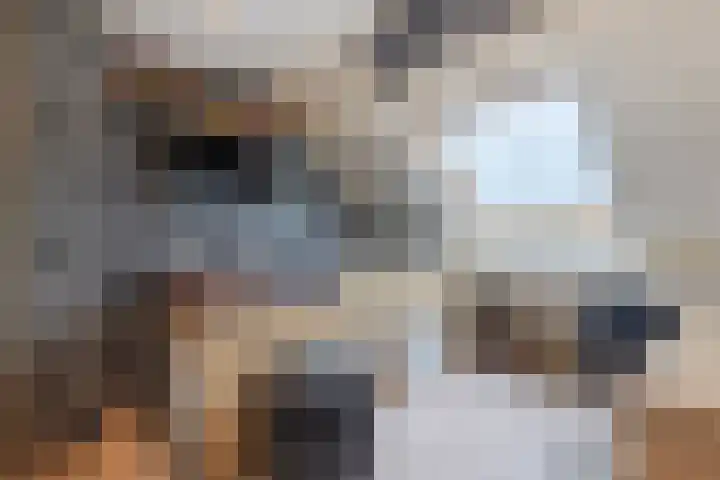 Boezem 3 Giessenburg thumbnail 25