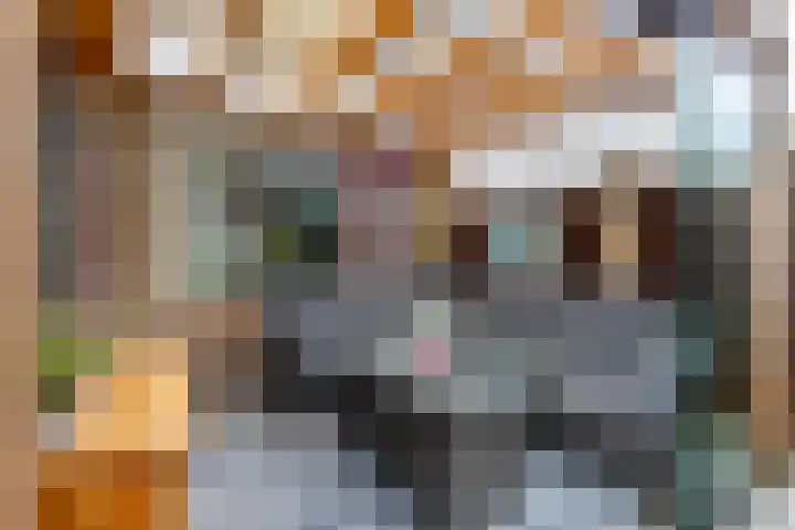 Boezem 3 Giessenburg thumbnail 27