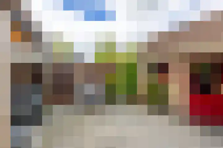 Boezem 3 Giessenburg thumbnail 31