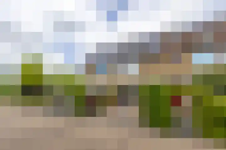 Boezem 3 Giessenburg thumbnail 35