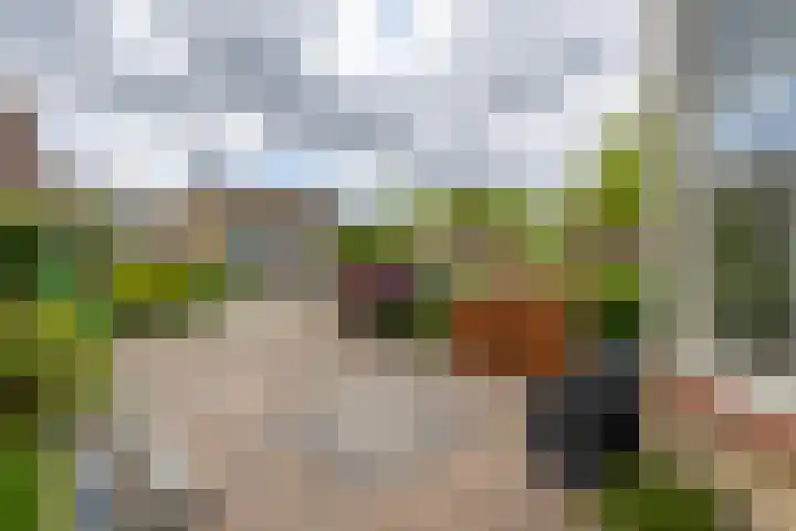 Boezem 3 Giessenburg thumbnail 36