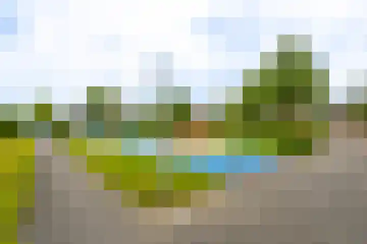 Boezem 3 Giessenburg thumbnail 38