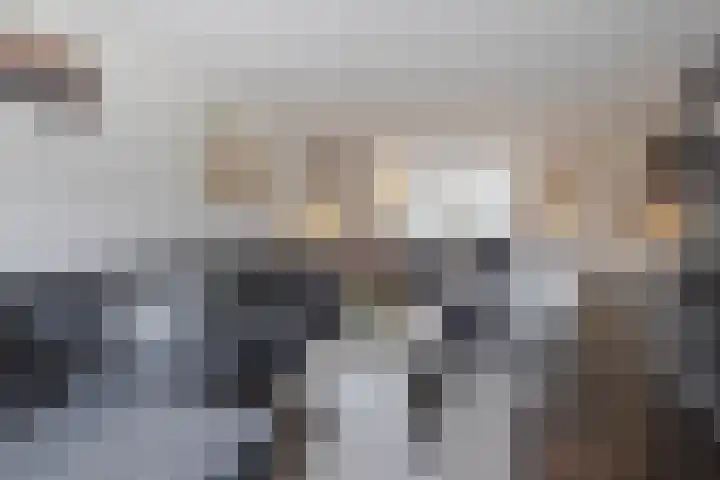 Boezem 3 Giessenburg thumbnail 4