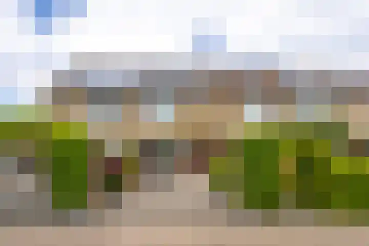 Boezem 3 Giessenburg thumbnail 42