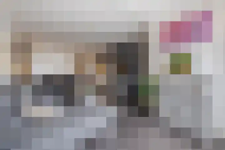 Boezem 3 Giessenburg thumbnail 5