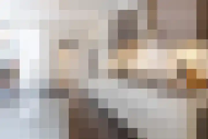 Boezem 3 Giessenburg thumbnail 6