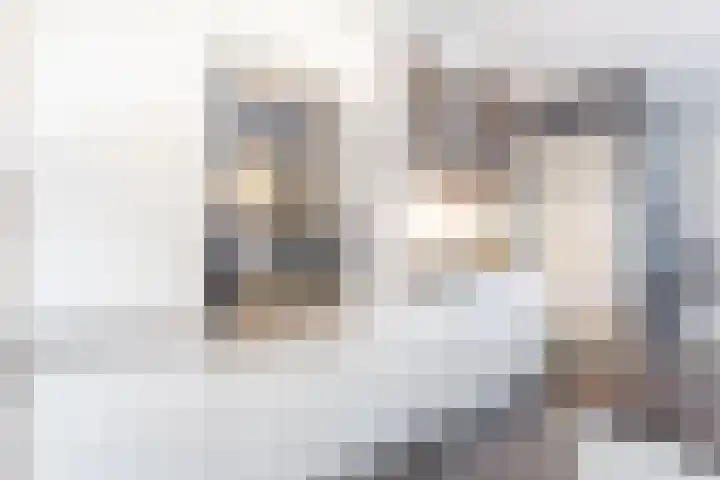 Boezem 3 Giessenburg thumbnail 7