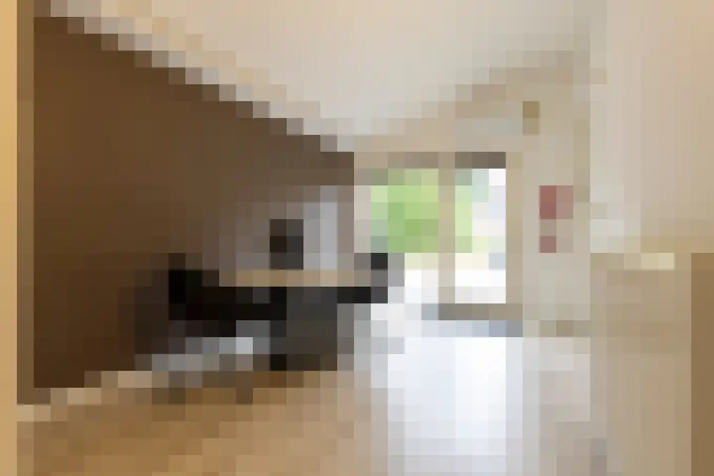 Boezem 45 Tiel thumbnail 17