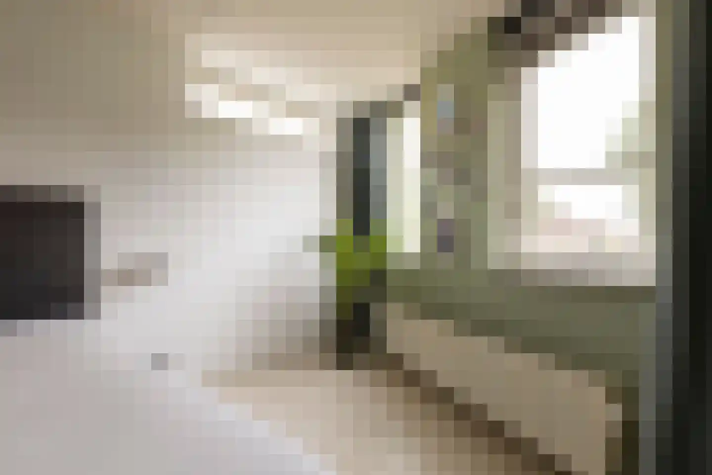 Boezem 45 Tiel thumbnail 54
