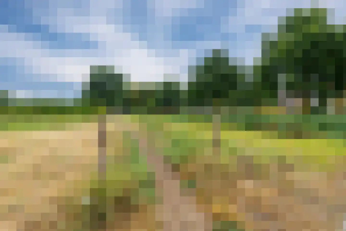 Boezem 45 Tiel thumbnail 6