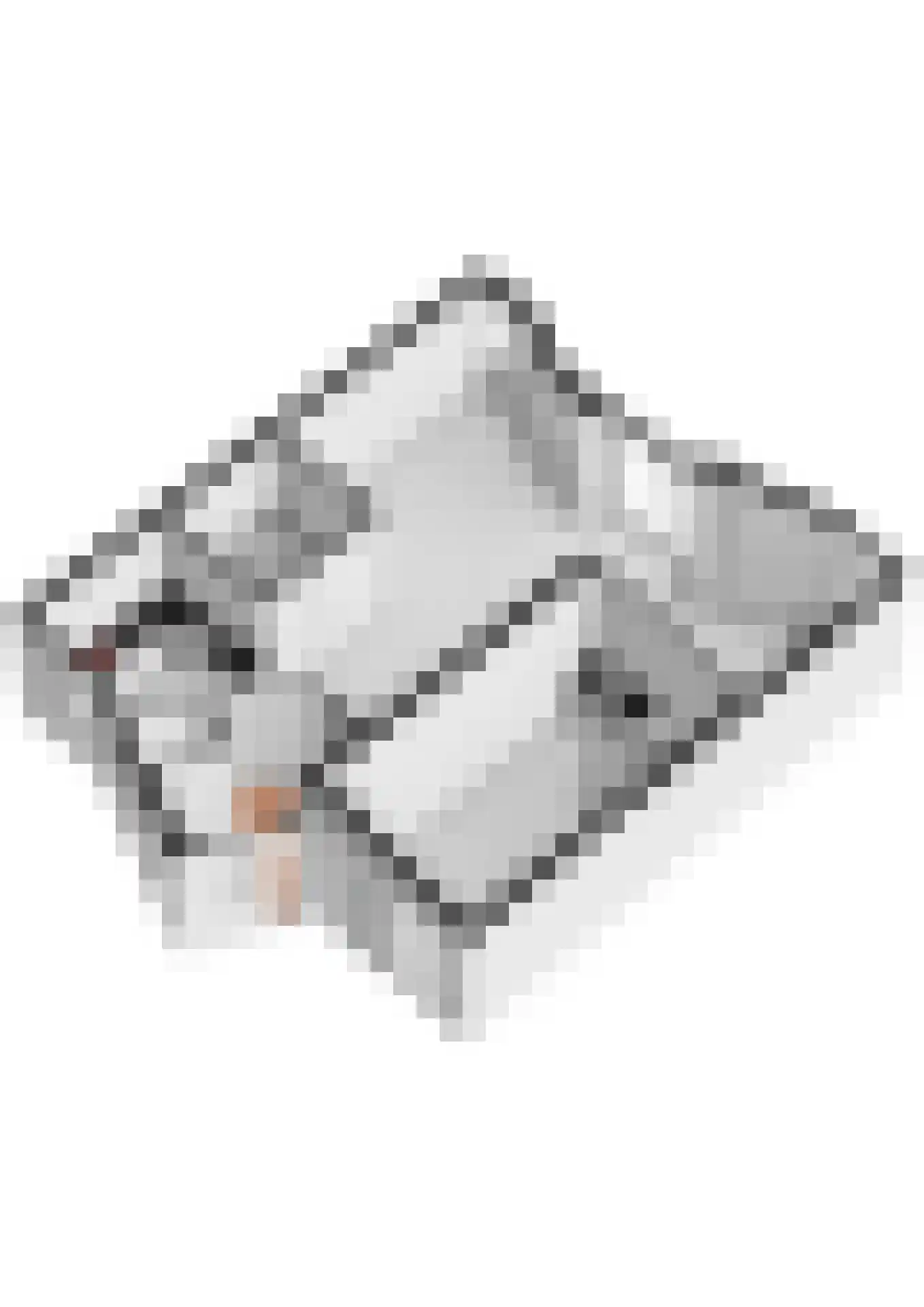Boezem 45 Tiel thumbnail 69