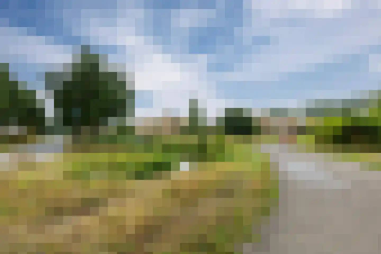 Boezem 45 Tiel thumbnail 7