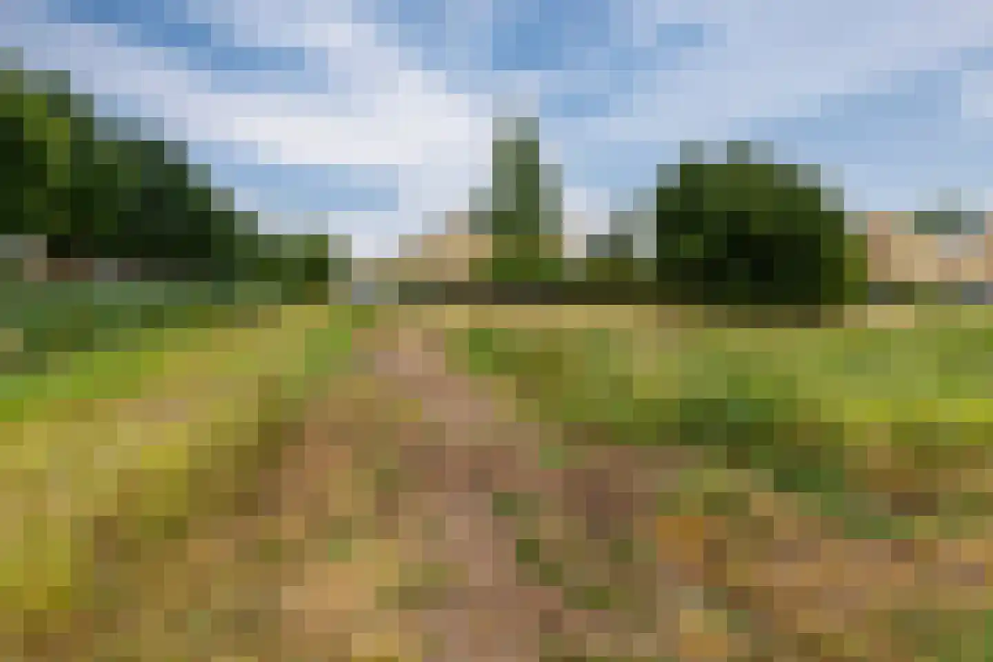 Boezem 45 Tiel thumbnail 8