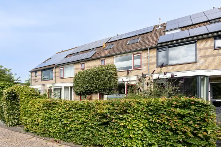 Boezem 5 in Giessenburg Foto