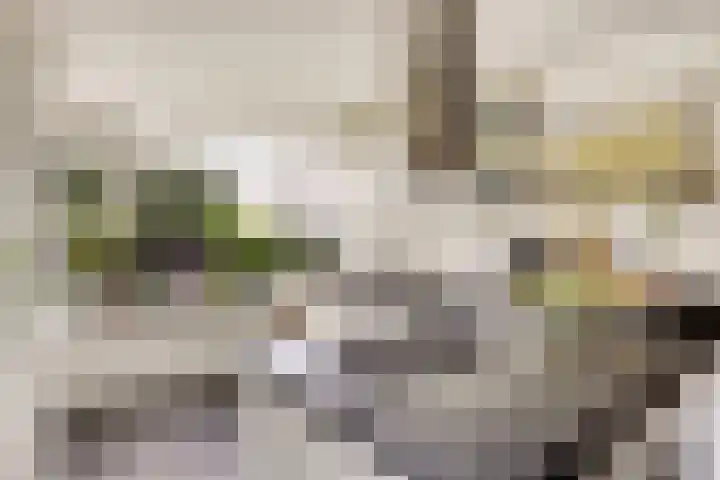 Boezem 5 Giessenburg thumbnail 14