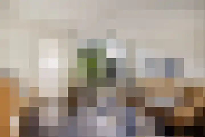 Boezem 5 Giessenburg thumbnail 8