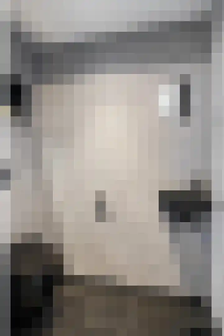 Boezembocht 1 Spijkenisse thumbnail 13