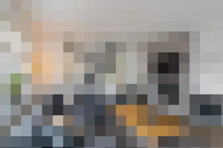 Boezembocht 1 Spijkenisse thumbnail 15