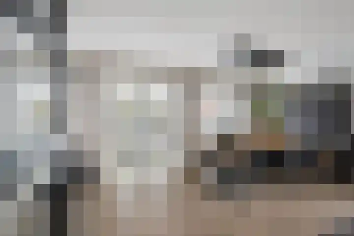 Boezembocht 1 Spijkenisse thumbnail 16