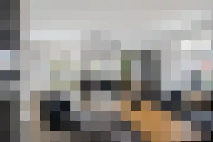 Boezembocht 1 Spijkenisse thumbnail 18