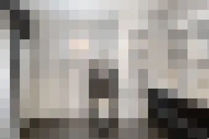 Boezembocht 1 Spijkenisse thumbnail 29