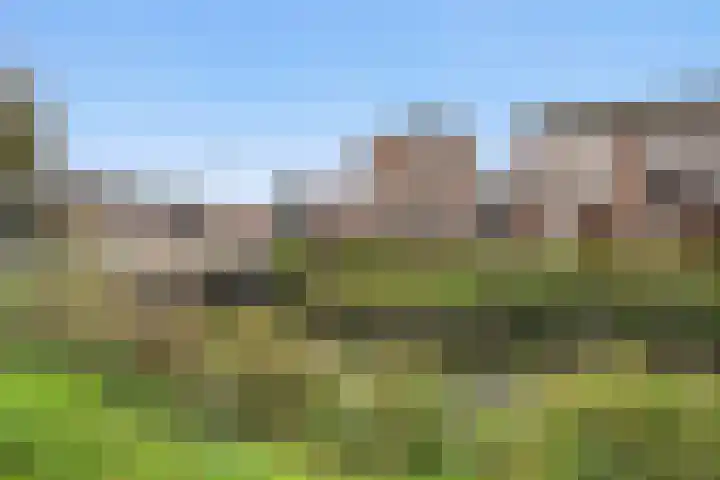 Boezembocht 1 Spijkenisse thumbnail 36
