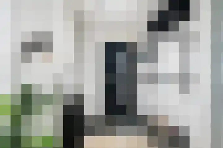 Boezembocht 1 Spijkenisse thumbnail 4