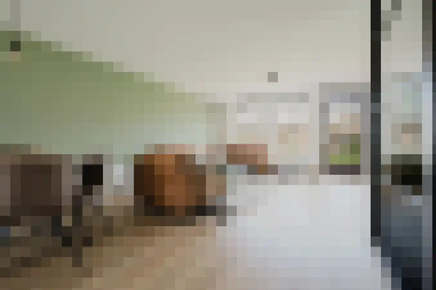 Boezembocht 17 Spijkenisse thumbnail 17
