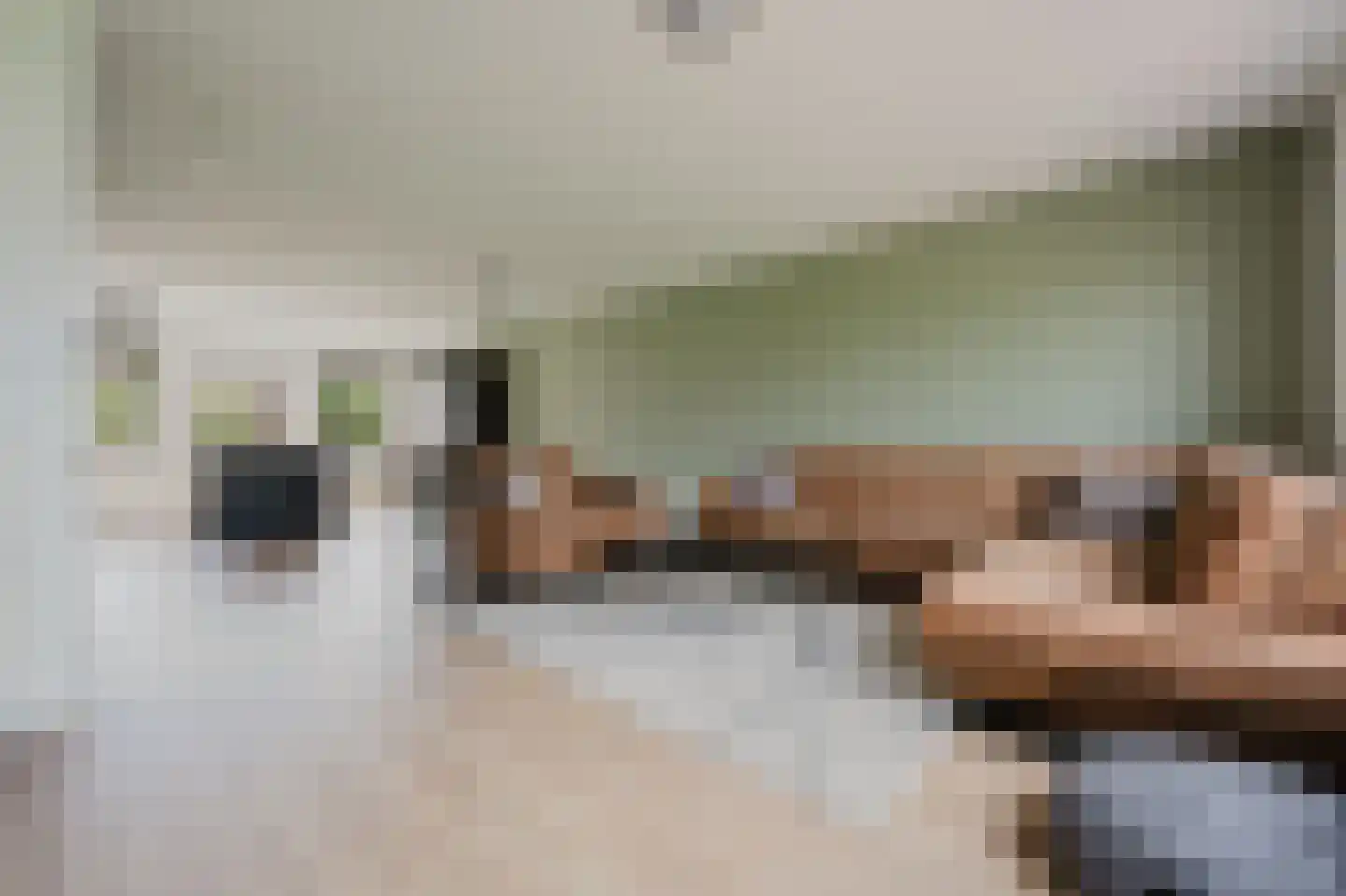 Boezembocht 17 Spijkenisse thumbnail 18