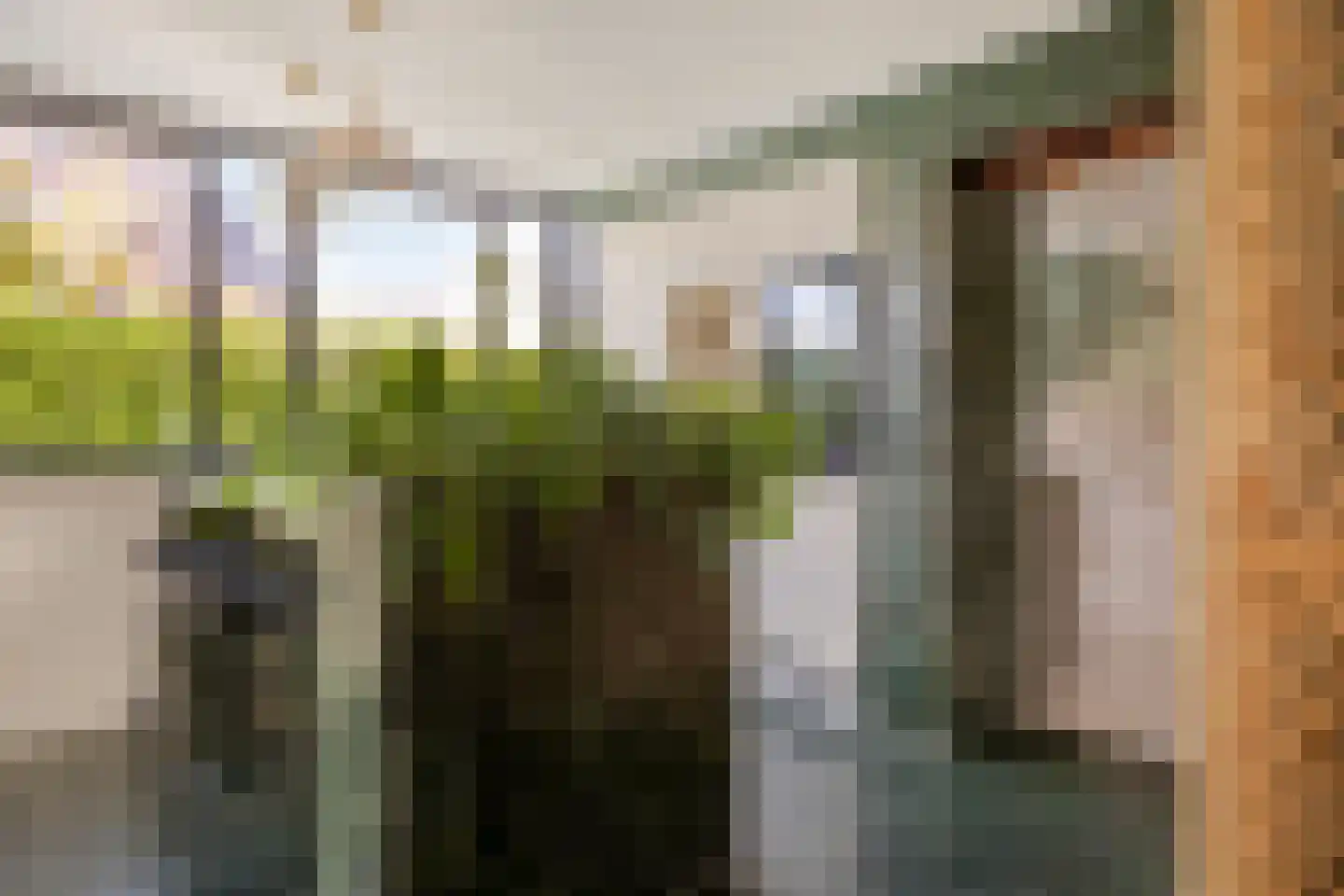 Boezemdreef 6 Krimpen aan den IJssel thumbnail 12