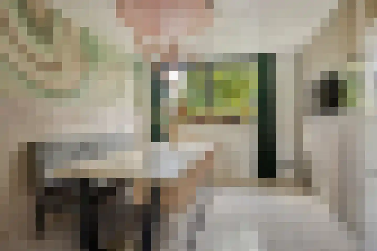 Boezemdreef 6 Krimpen aan den IJssel thumbnail 18