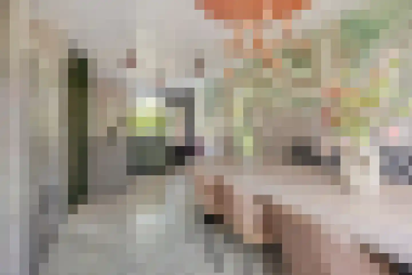 Boezemdreef 6 Krimpen aan den IJssel thumbnail 19