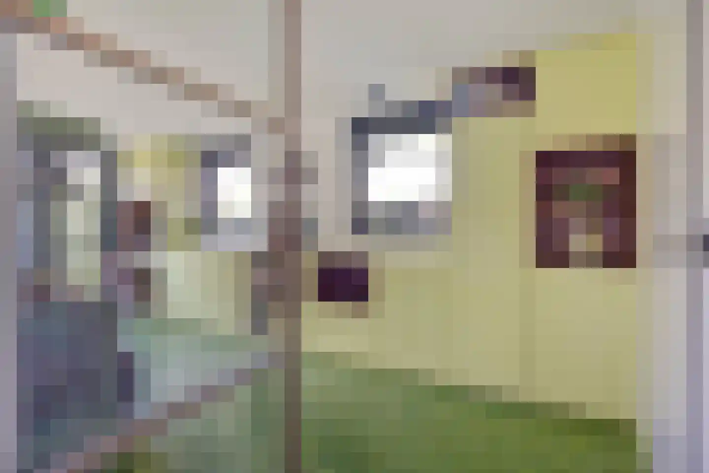 Boezemdreef 6 Krimpen aan den IJssel thumbnail 22