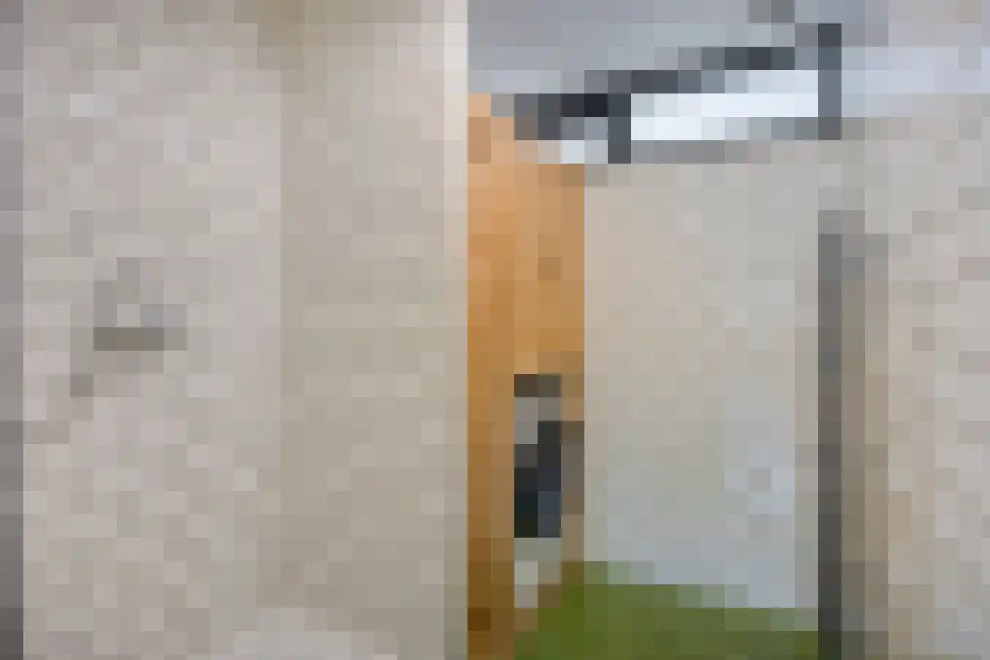 Boezemdreef 6 Krimpen aan den IJssel thumbnail 27