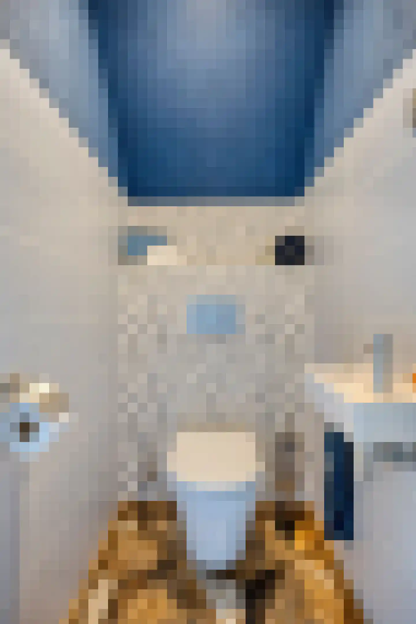 Boezemdreef 6 Krimpen aan den IJssel thumbnail 43